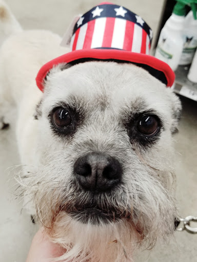 Pet Supply Store «Petco Animal Supplies», reviews and photos, 190 Quality Dr, Hooksett, NH 03106, USA