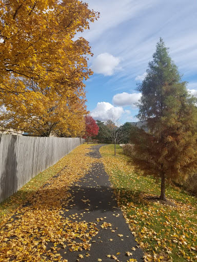 Grocery Store «Jewel-Osco», reviews and photos, 2501 Schaumburg Rd, Schaumburg, IL 60194, USA