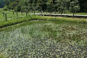 Kashibaru Shitsugen Wetlands image