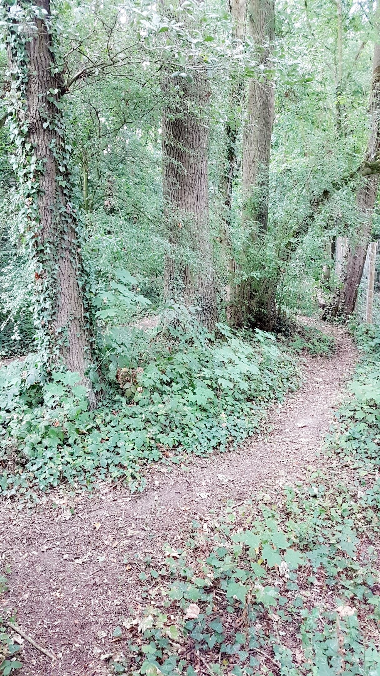 Photo n° 6 de l'avis de Anne.a fait le 12/08/2019 à 14:05