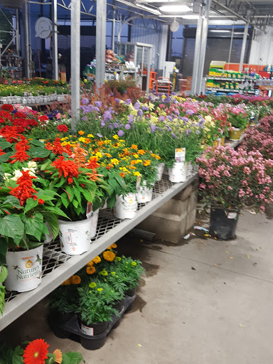 Home Improvement Store «The Home Depot», reviews and photos, 2960 Reynolds Ranch Pkwy, Lodi, CA 95240, USA