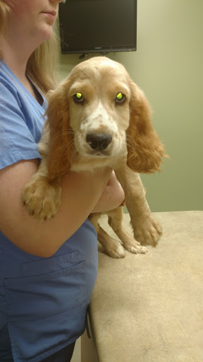 Dr. Jimmy "Doc" Matthews image