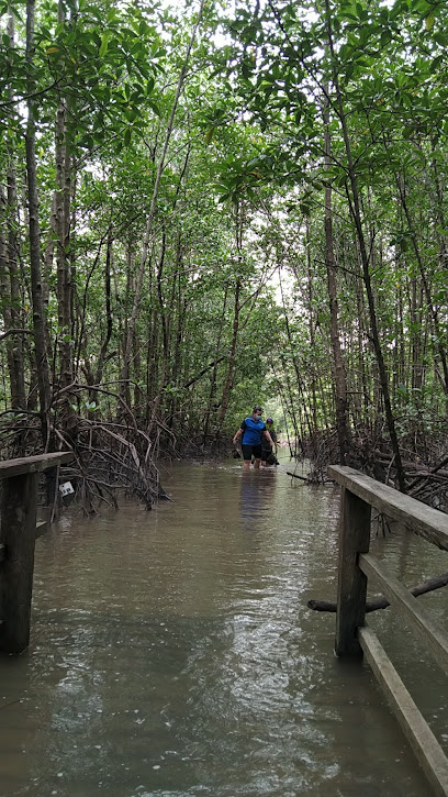 Sabah Wetlands Conservation Society (SWCS) @ Kota Kinabalu Wetland Ramsar Site