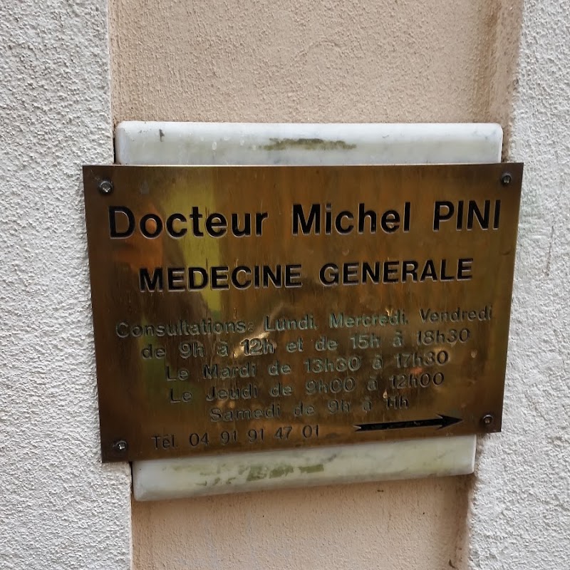 Pini Michel