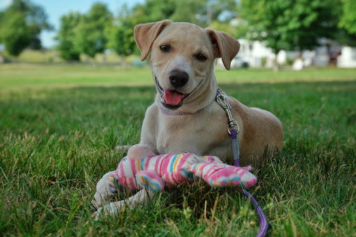 Park «Whitman Town Recreation Department», reviews and photos, 54 South Ave #1, Whitman, MA 02382, USA