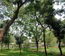 Taman Hutan Kota Tebet photo