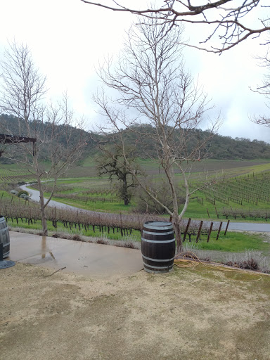 Winery «Clos La Chance Winery», reviews and photos, 1 Hummingbird Ln, San Martin, CA 95046, USA