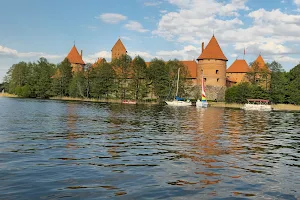Trakai Island Castle image