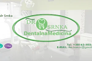 dr Srnka image