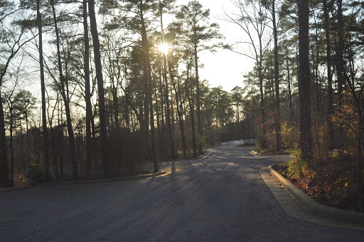 Bicycle Store «Neutral Cycle», reviews and photos, 624 S 5th St, Champaign, IL 61820, USA
