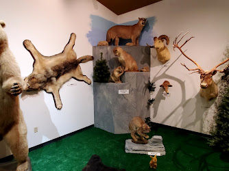 Sheets Wildlife Museum