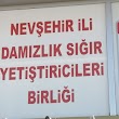 Nevşehir İli Damızlık Sığır Yetiştiricileri Birliği