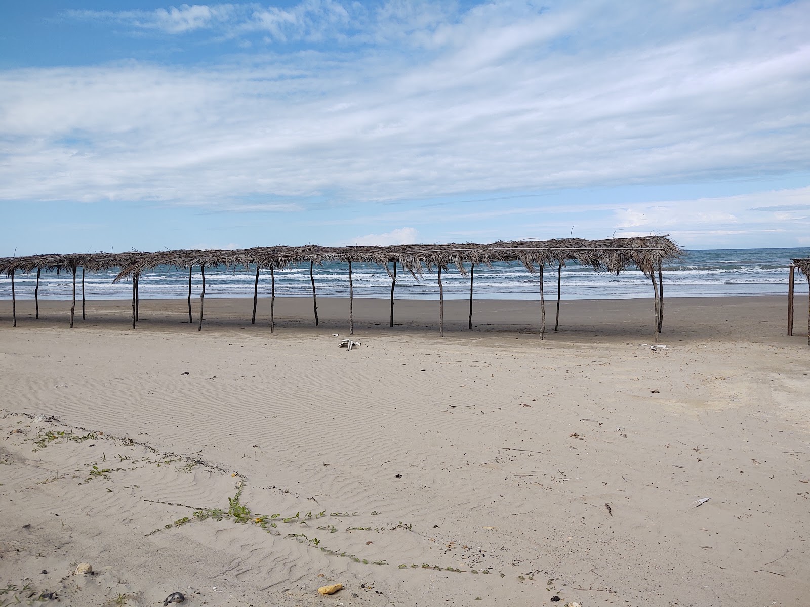 Playa Norte'in fotoğrafı imkanlar alanı