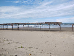 Playa Norte'in fotoğrafı imkanlar alanı