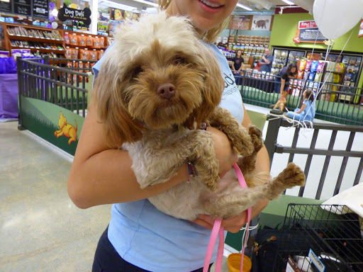 Pet Supply Store «Pet Food Express», reviews and photos, 9153 W Olympic Blvd, Beverly Hills, CA 90212, USA