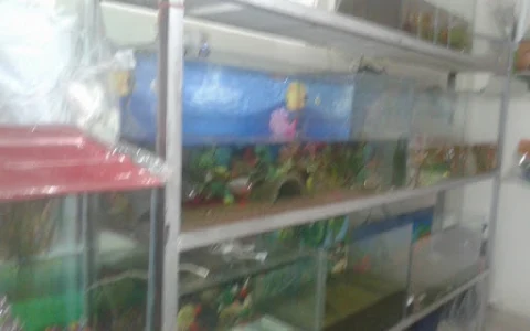 Neha Fish Aquarium & Pets image