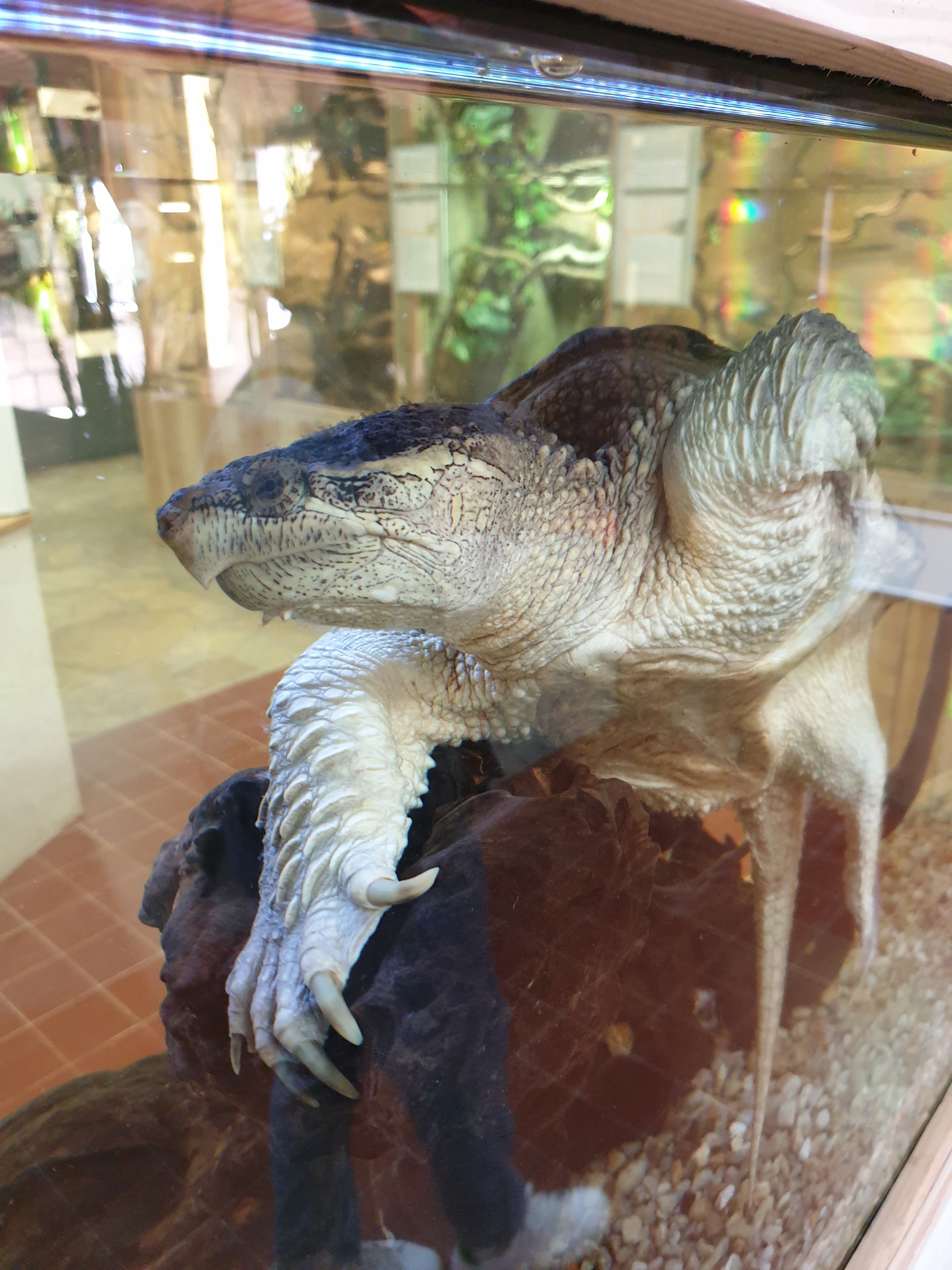 Photo n° 5 de l'avis de Théo.e fait le 14/05/2022 à 14:15