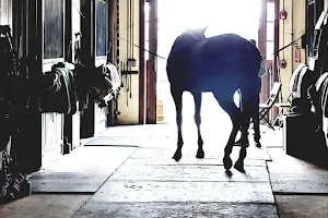 Old Westbury Equestrian Center image