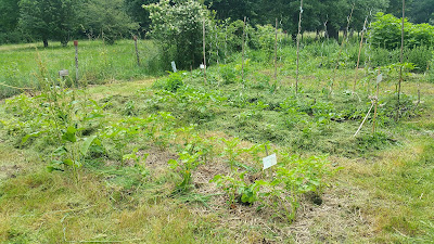 140 Montberon à Montberon