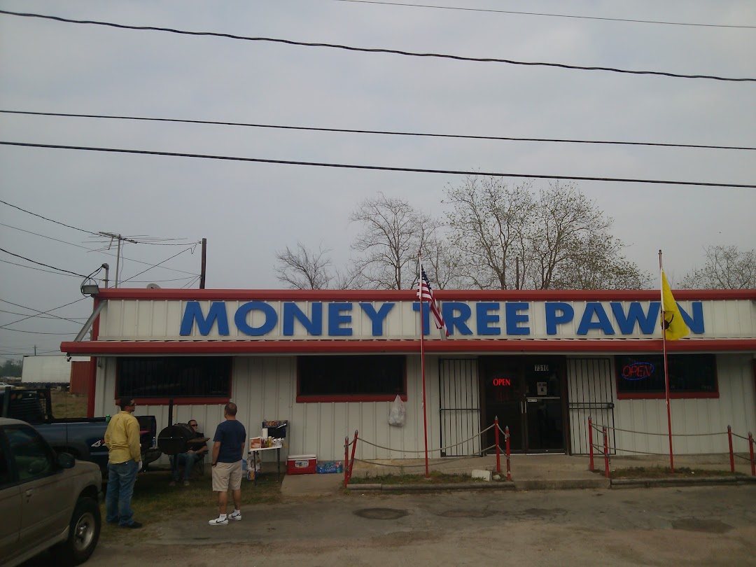 Money Tree Pawn