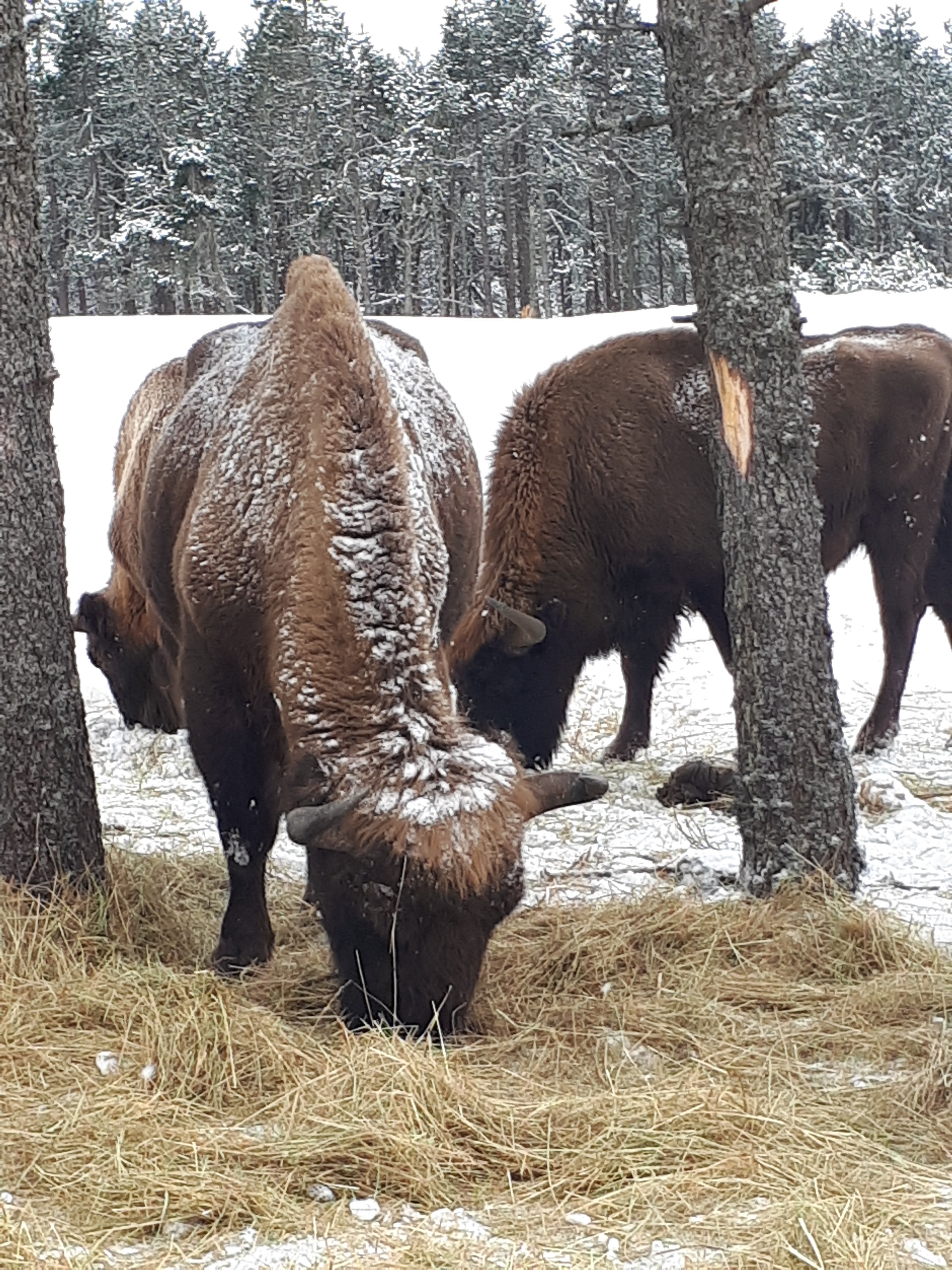 Photo n° 1 de l'avis de Romain.o fait le 26/02/2018 à 13:20