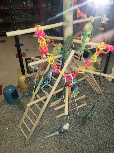 Pet Supply Store «Petco Animal Supplies», reviews and photos, 438 Southbridge St, Auburn, MA 01501, USA