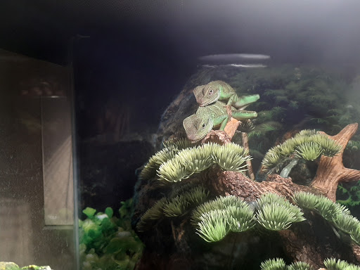 Pet Supply Store «Petco Animal Supplies», reviews and photos, 3452 W Chandler Blvd, Chandler, AZ 85226, USA