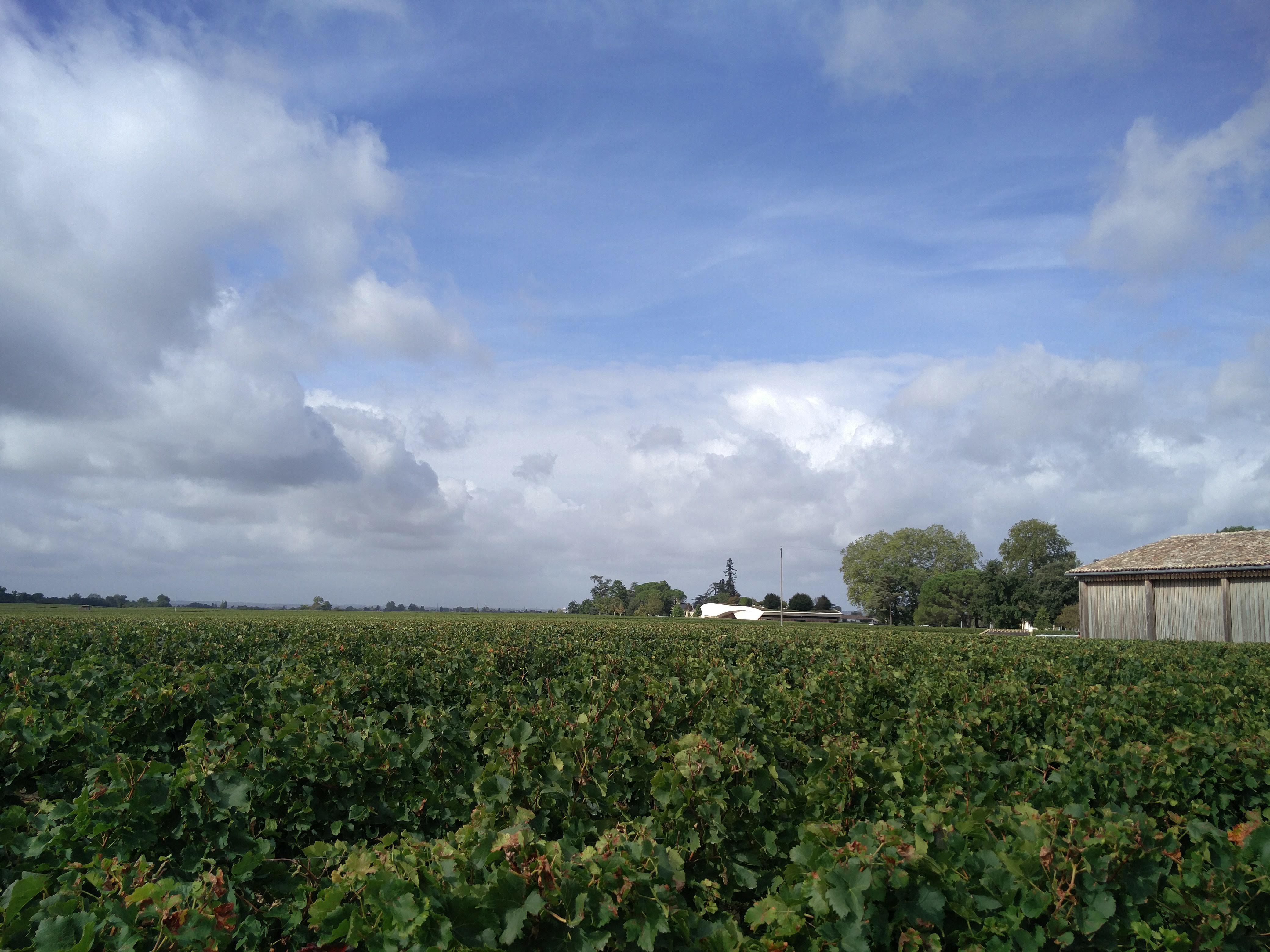 Photo n° 1 de l'avis de Daniel.u fait le 29/09/2019 à 15:41