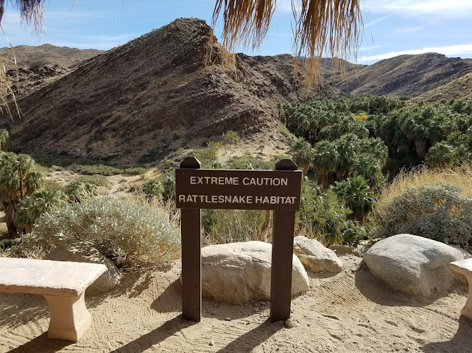 Explore the Breathtaking Nature Preserve in Palm Springs: Discover Several Scenic Wonders