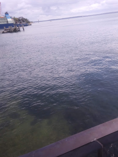 Aquarium «Woods Hole Science Aquarium», reviews and photos, 166 Water St, Woods Hole, MA 02543, USA