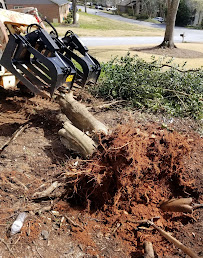 Landscaping LLC - Photo 6 - Car repair in , Greenville