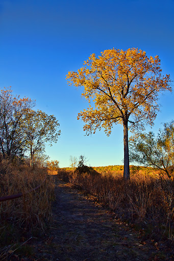 Park «Trophy Club Park», reviews and photos, 2885 Trophy Park Dr, Trophy Club, TX 76262, USA
