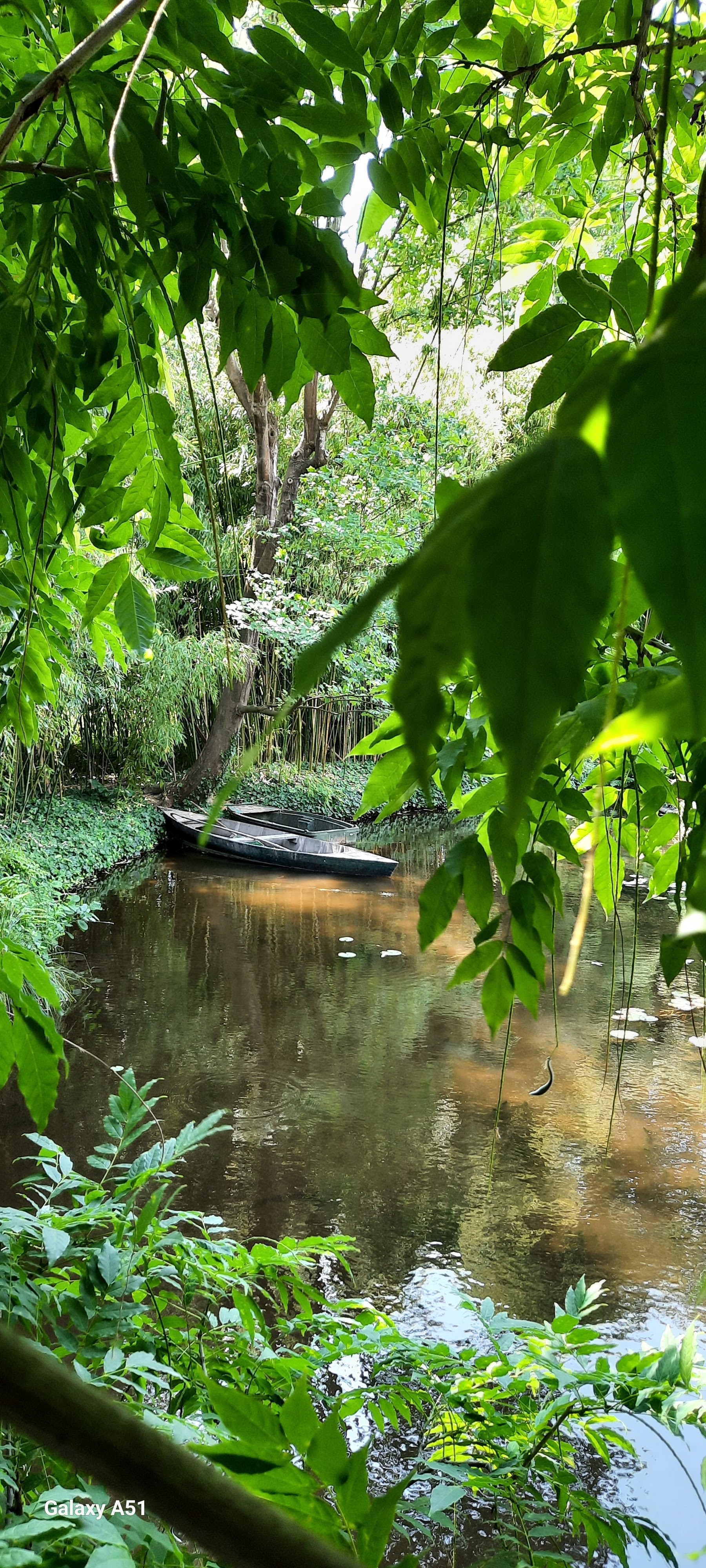 Photo n° 7 de l'avis de Evelyne.o fait le 14/07/2023 à 11:43