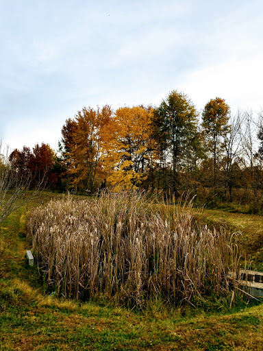 Golf Course «Cattails at MeadowView Golf Course», reviews and photos, 1901 Meadowview Pkwy, Kingsport, TN 37660, USA