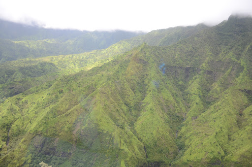 Gym «Planet Fitness», reviews and photos, 53 Marrows Rd, Newark, DE 19713, USA