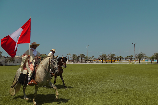Sitios donde montar a caballo en Trujillo