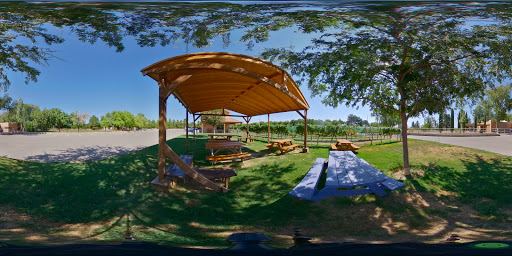 Winery «Zin Valle Vineyards», reviews and photos, 7315 Canutillo-La Union Rd, Canutillo, TX 79835, USA