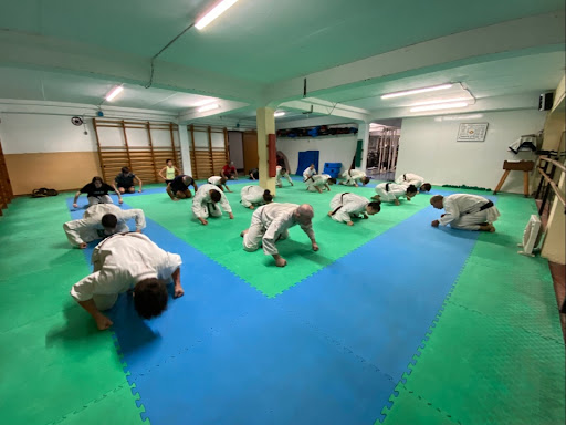 Gimnasio Olímpico en L'Hospitalet de Llobregat, Barcelona