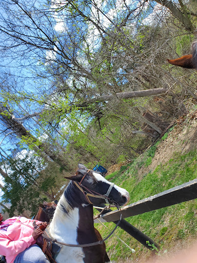 Tourist Attraction «Jordan Hollow Stables», reviews and photos, 657 Pine Grove Rd, Stanley, VA 22851, USA