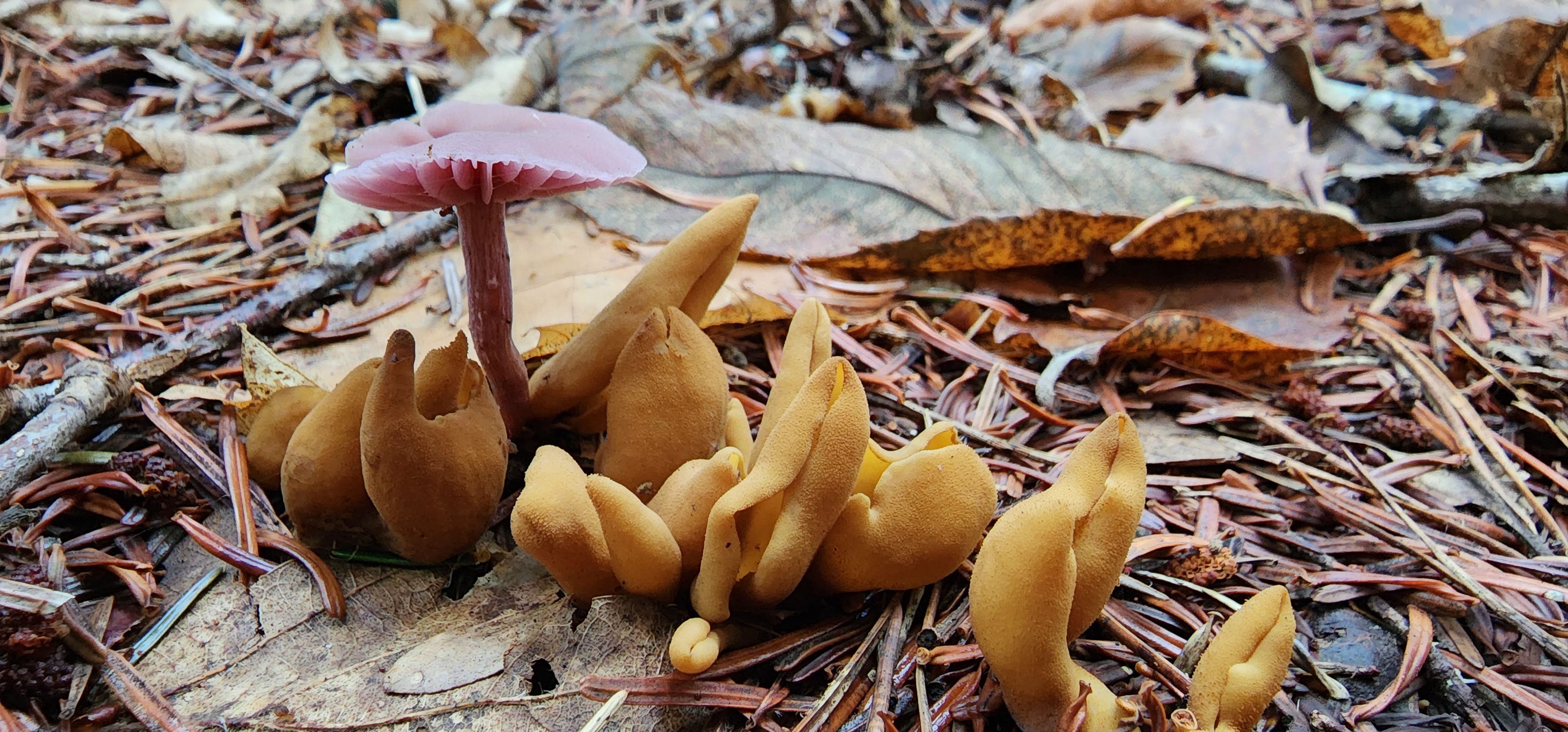 Photo n° 8 de l'avis de Angie. fait le 04/11/2022 à 06:49