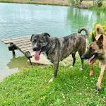 Photo n° 2 de l'avis de Marion.i fait le 08/09/2022 à 07:05 pour La Cabane du Lamas à Montignac-de-Lauzun