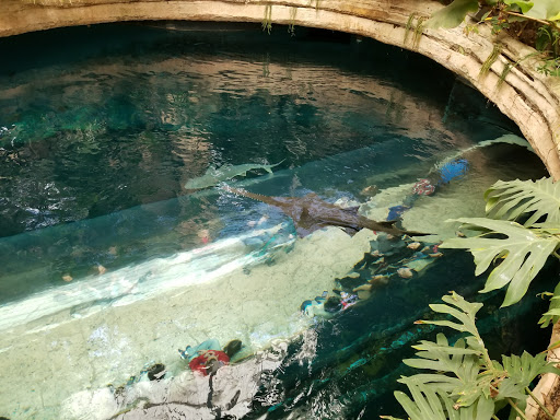 Aquarium «The Dallas World Aquarium», reviews and photos, 1801 N Griffin St, Dallas, TX 75202, USA