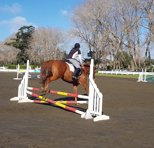 Comments and reviews of Woodhill Sands Equestrian Events Centre