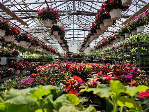 Garden Center «Westminster Nursery & Florist», reviews and photos, 30 Westminster Rd, West Hempstead, NY 11552, USA