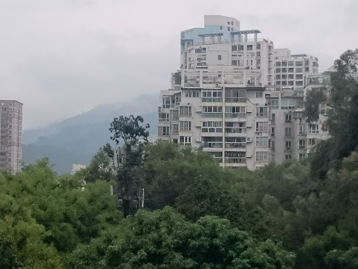 Pet friendly apartments in Shenzhen