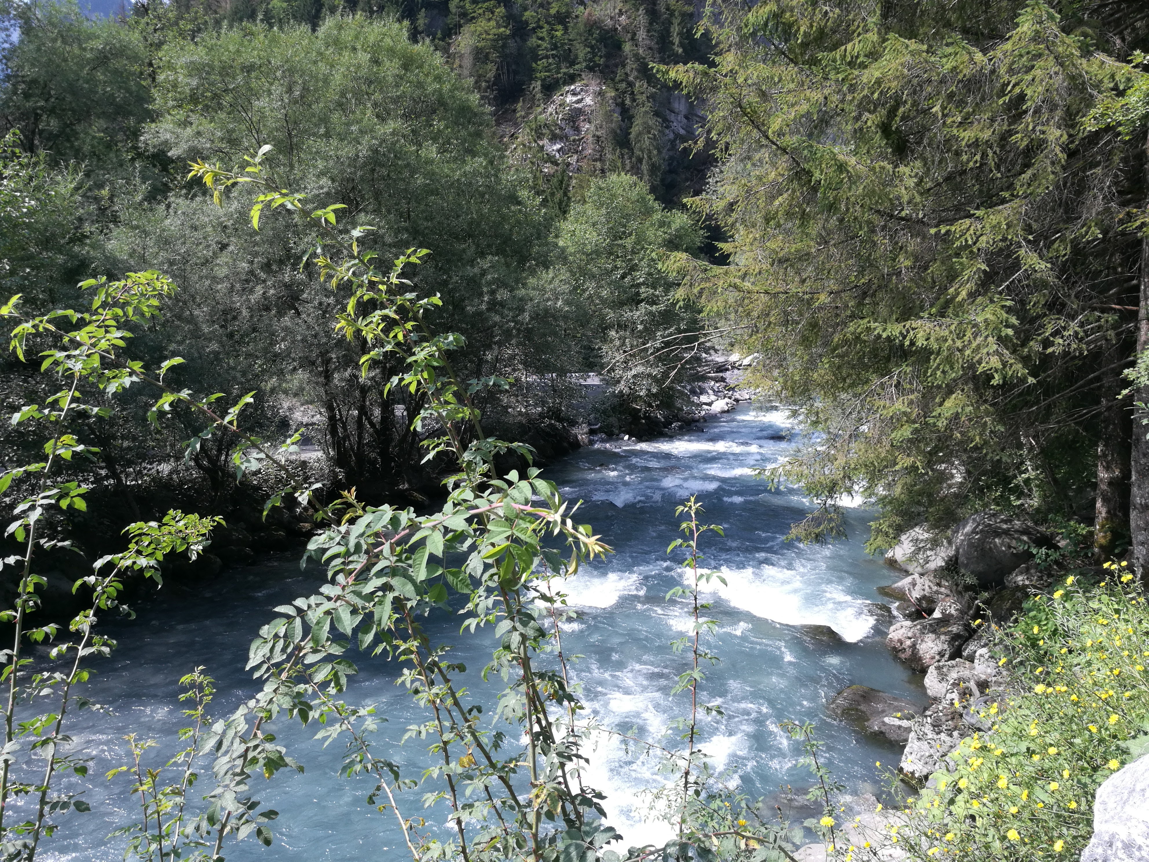 Photo n° 3 de l'avis de Béatrice.o fait le 26/07/2021 à 10:42