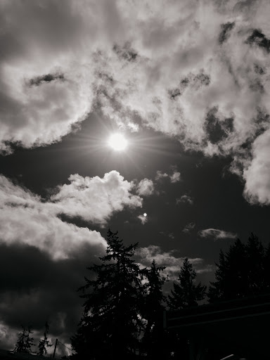 RV Park «Shamrock Village RV Park», reviews and photos, 4531 Franklin Blvd, Eugene, OR 97403, USA