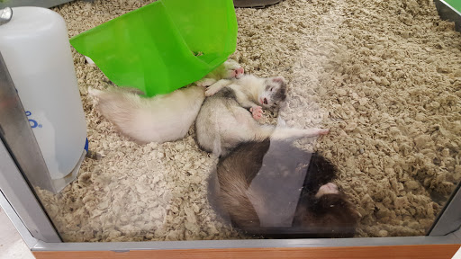 Pet Supply Store «Petco Animal Supplies», reviews and photos, 210 Fortune Blvd, Milford, MA 01757, USA