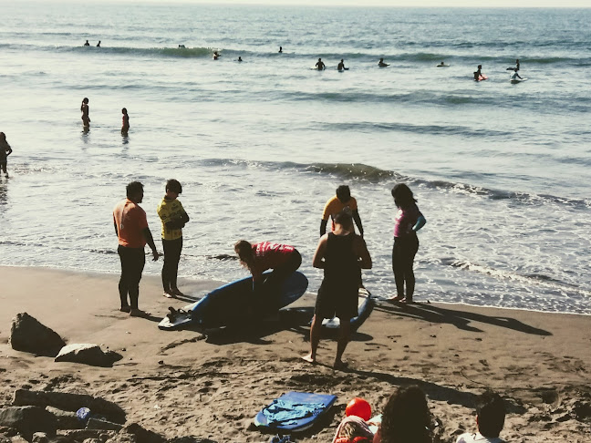 Escuela de surf Viejos Perros Lobo de Mar