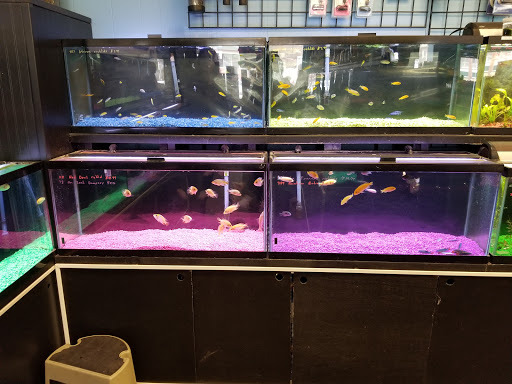 Pet Store «Fins And Feathers», reviews and photos, 222 Willow Ave, Honesdale, PA 18431, USA